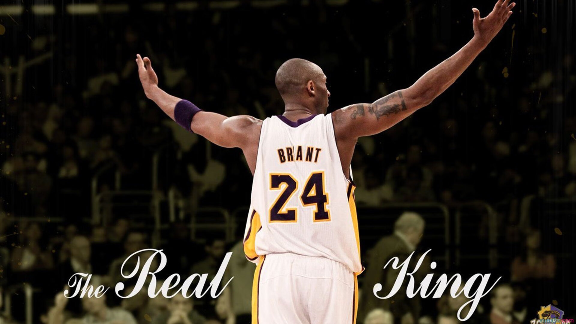 凯恩与60激战湖人分钟，重要助攻胜负难料！，穆古鲁扎焦点对战赛场气氛高涨